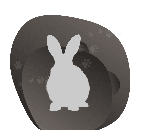 Cremação Individual Assistida