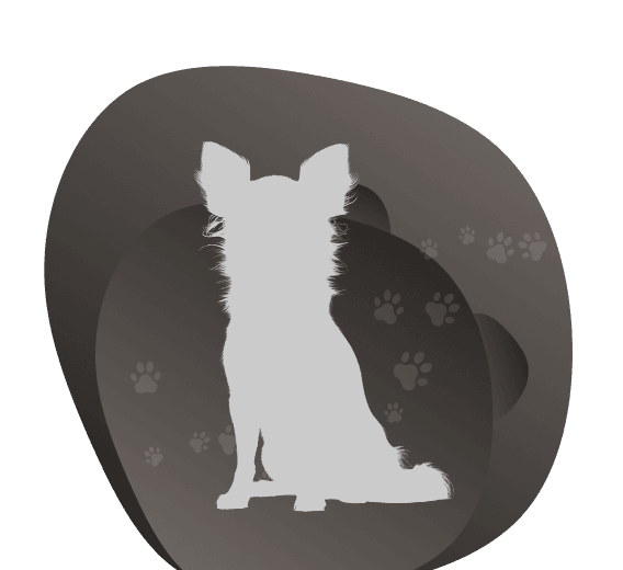 Cremação Individual