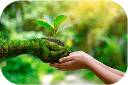 Respeito ao meio ambiente